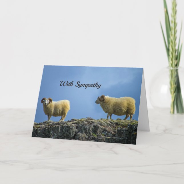 Mountain Sheep Sympathy Card (Front)