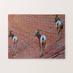 Mountain Sheep Utah. Jigsaw Puzzle