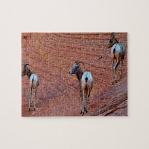Mountain Sheep Utah Jigsaw Puzzle