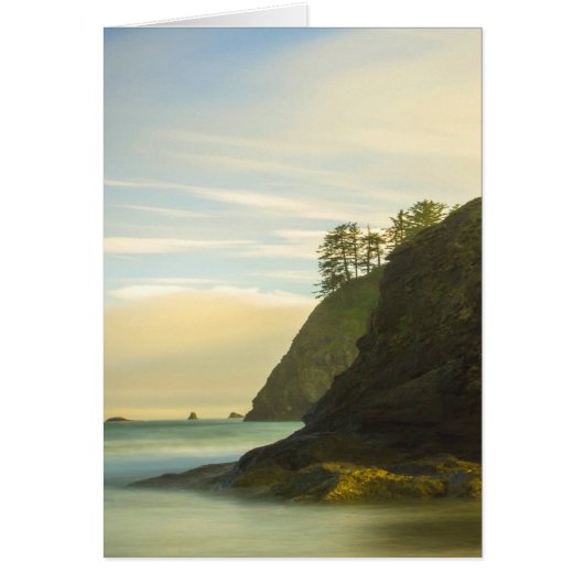 Mountain Side Ocean View Cards (Front)