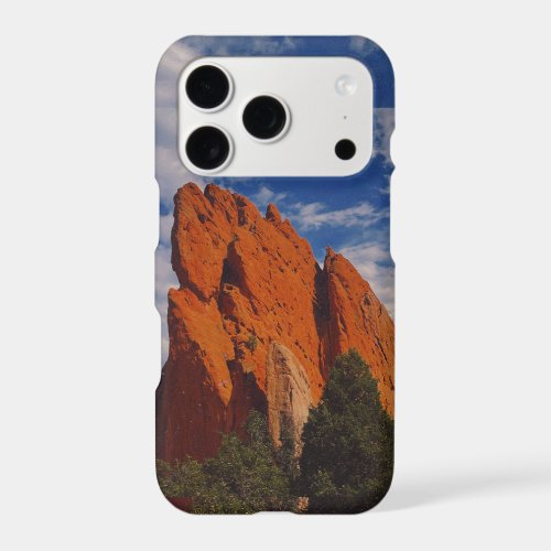 mountain spirit  iPhone 17 pro case
