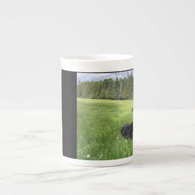 Mountain Spring Mug (Front)