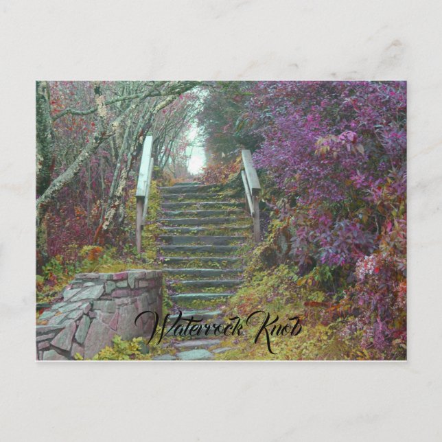 Mountain stairs to Waterrock Knob, Waynesville NC. Postcard (Front)