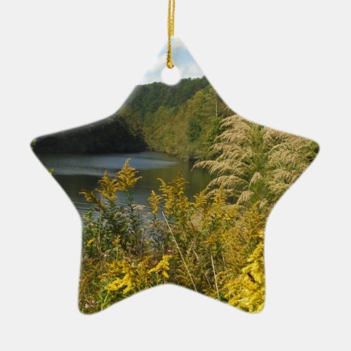 Mountain Stream becomes Lake with wild flowers Ceramic Ornament