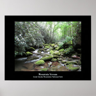 Mountain Stream Great Smoky Mountains Poster