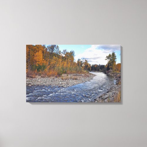 Mountain stream in forest canvas print