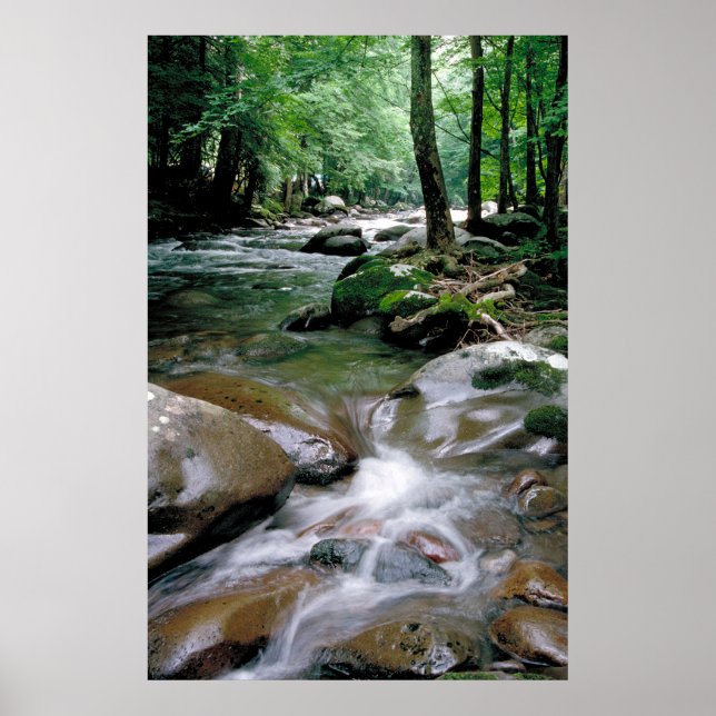 Mountain Stream Poster (Front)