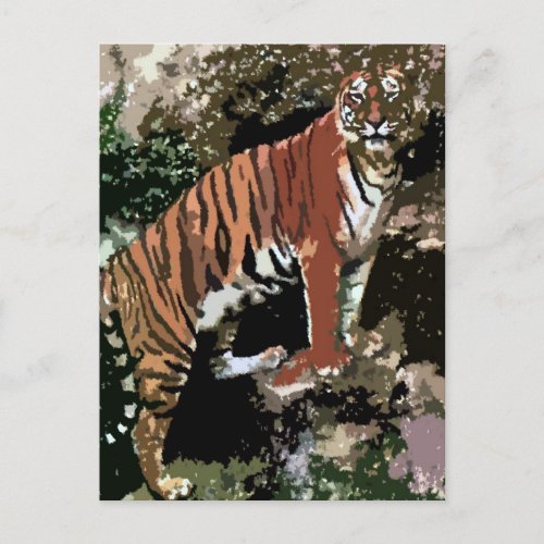 Mountain Tiger Postcard