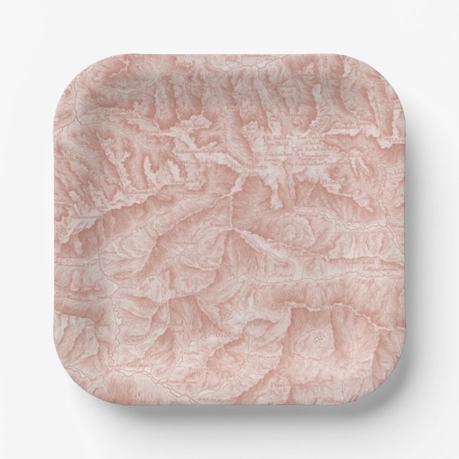 Mountain Topographic Map Paper Plates (Front)