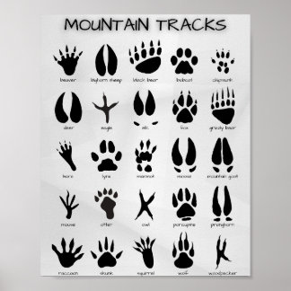Mountain Tracks Poster
