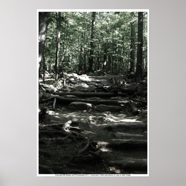 Mountain Trail Poster (Front)