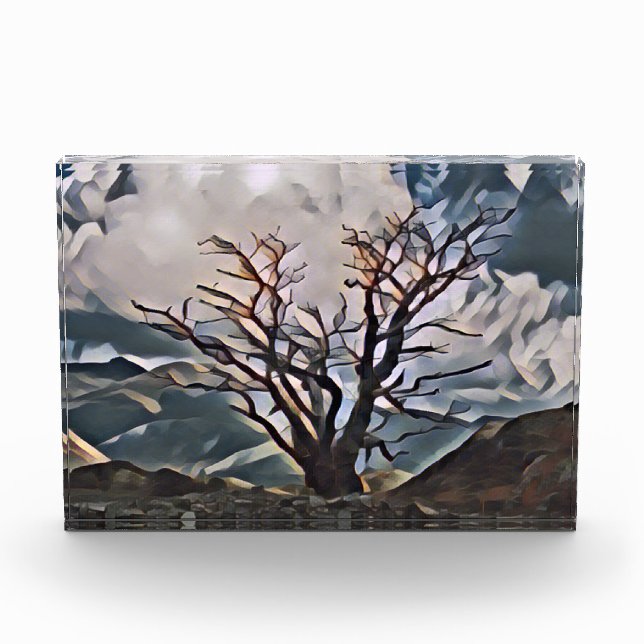 MOUNTAIN TREE  PHOTO BLOCK (Front)