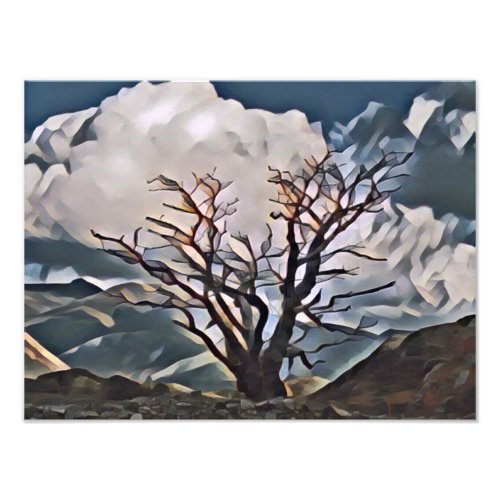 MOUNTAIN TREE    PHOTO PRINT