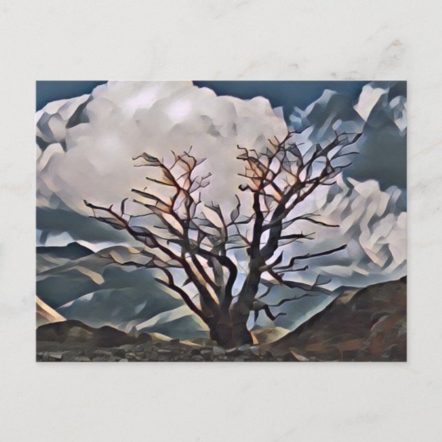 MOUNTAIN TREE  POSTCARD (Front)