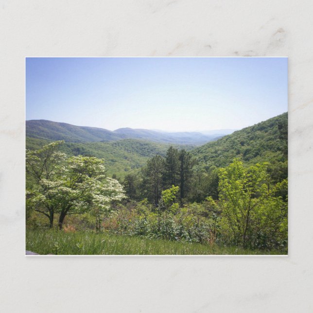 Mountain Valley 1 Postcard (Front)