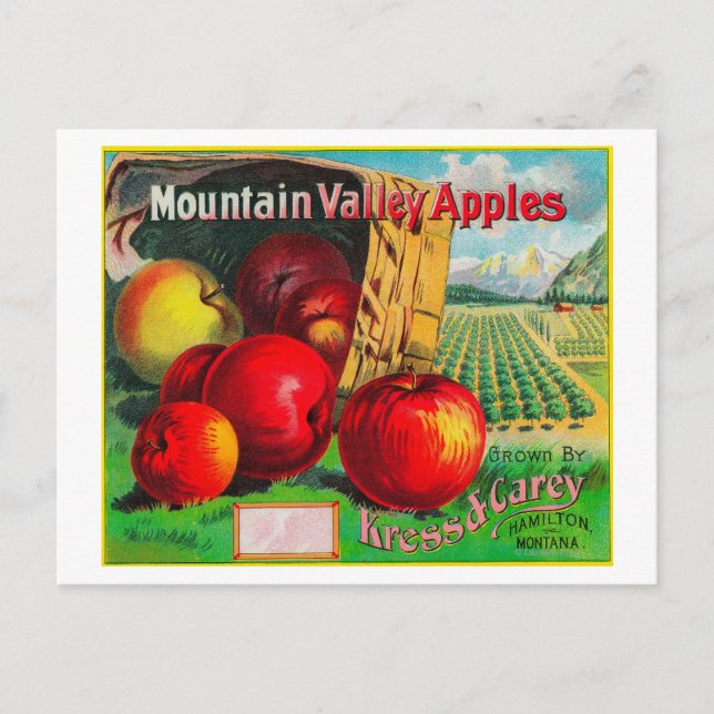 Mountain Valley Apple LabelHamilton, MT Postcard (Front)