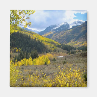 Mountain Valley Magnet