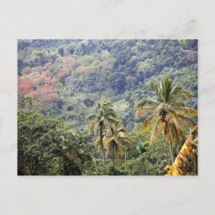 Mountain view, Dominican Republic. Postcard