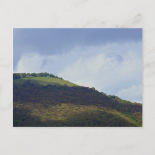 Mountain View Postcard