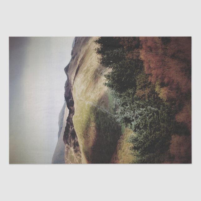 MOUNTAIN VIEWS OF WALES TISSUE PAPER (Front)