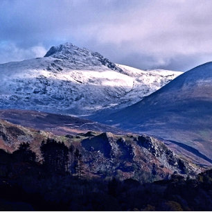 MOUNTAIN VIEWS TISSUE PAPER