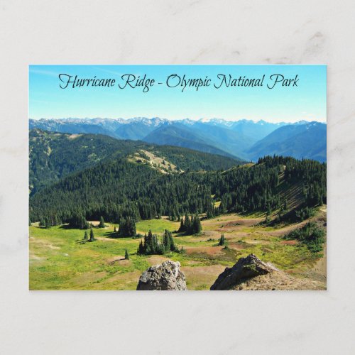 Mountain Vista of Hurricane Ridge Postcard