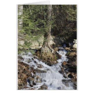 Mountain Waterfall Cards