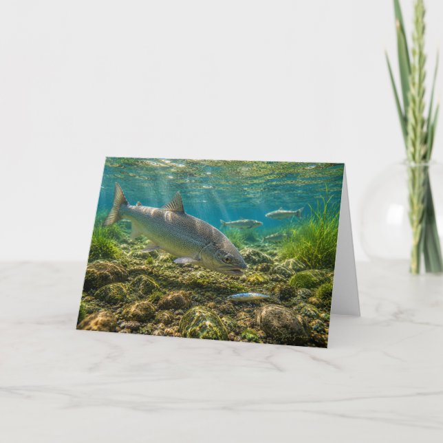 Mountain Whitefish Greeting Card (Front)