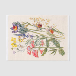 Mountain Wildflowers Vintage Print Tissue Paper