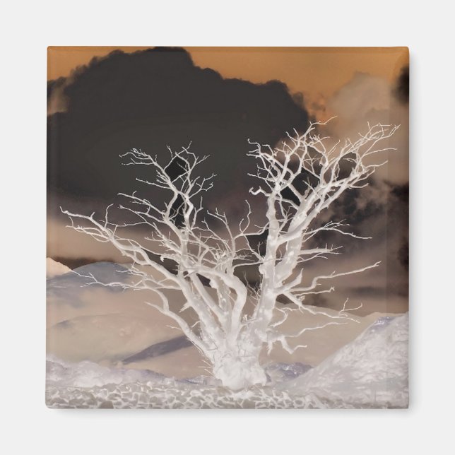 MOUNTAIN WINTER MAGNET (Front)