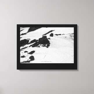 Mountaineers Canvas Print