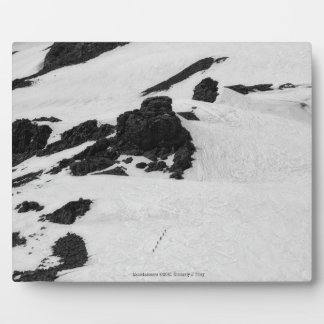Mountaineers Plaque