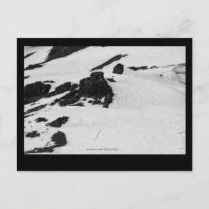 Mountaineers Postcard