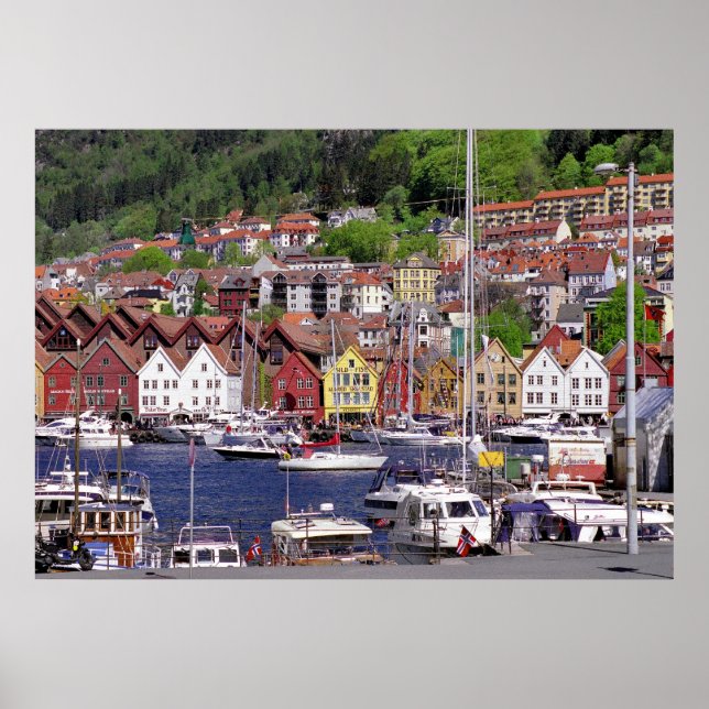 Mountainous Marina Poster (Front)