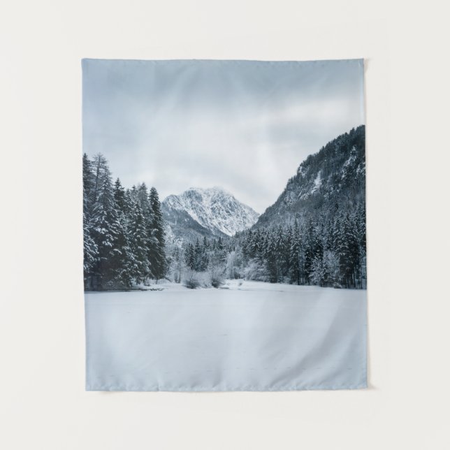 Mountains and frozen lake at Zgornje Jezersko, Slo Tapestry (Front)