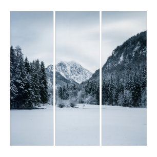 Mountains and frozen lake at Zgornje Jezersko, Slo Triptych