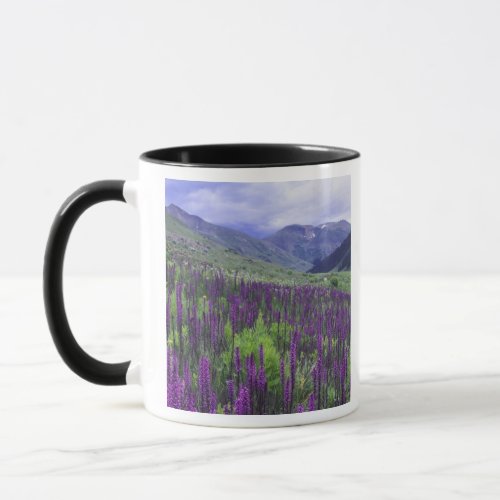 Mountains and wildflowers in alpine meadow 2 mug