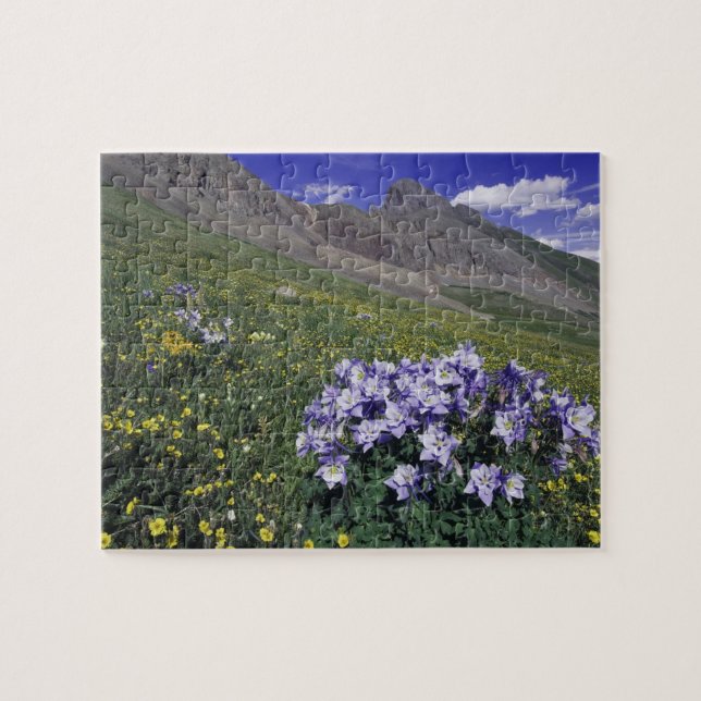 Mountains and wildflowers in alpine meadow, Blue Jigsaw Puzzle (Horizontal)