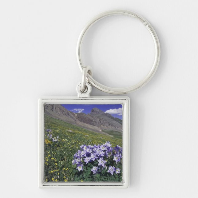 Mountains and wildflowers in alpine meadow, Blue Keychain (Front)