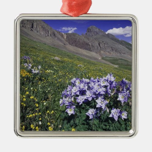 Mountains and wildflowers in alpine meadow Blue Metal Ornament
