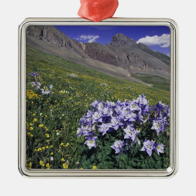 Mountains and wildflowers in alpine meadow, Blue Metal Ornament (Front)