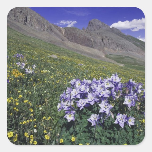Mountains and wildflowers in alpine meadow, Blue Square Sticker (Front)