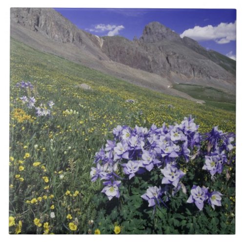 Mountains and wildflowers in alpine meadow Blue Tile