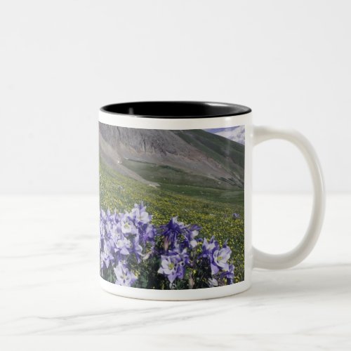 Mountains and wildflowers in alpine meadow Blue Two_Tone Coffee Mug