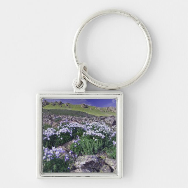 Mountains and wildflowers in alpine meadow, keychain (Front)