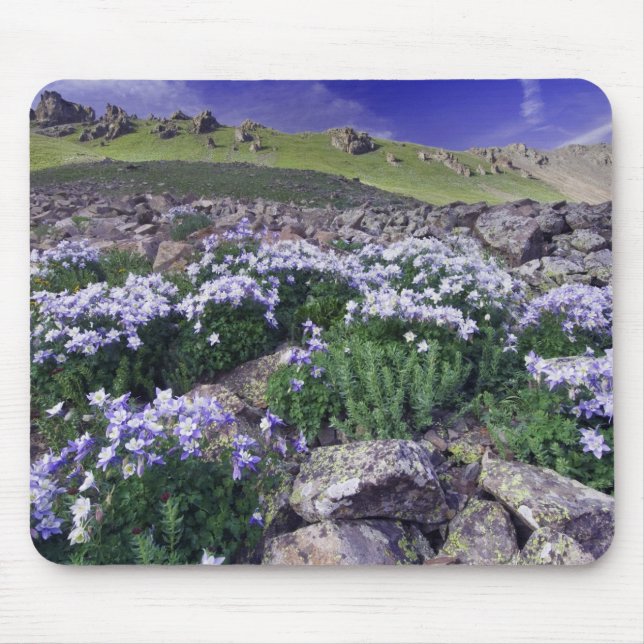 Mountains and wildflowers in alpine meadow, mouse pad (Front)
