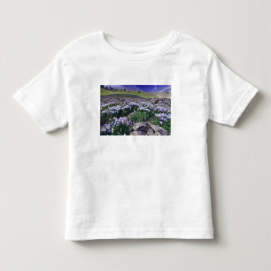 Mountains and wildflowers in alpine meadow, toddler t-shirt