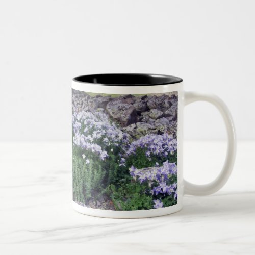 Mountains and wildflowers in alpine meadow Two_Tone coffee mug