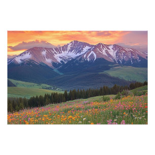 Mountains and Wildflowers Print Colorado