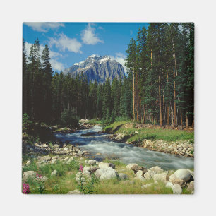 Mountains Banff National Park Magnet